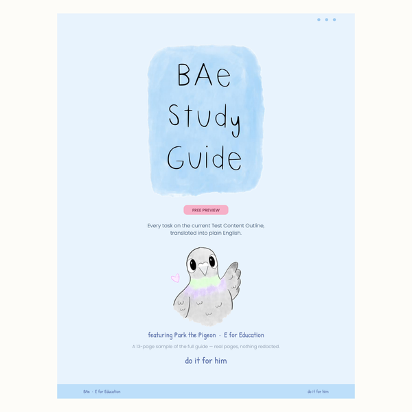 BAe Study Guide: Free Preview