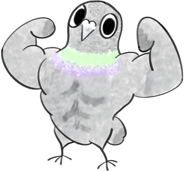 Park the Pigeon